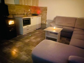 Dr Genius Holiday Home, Negotin